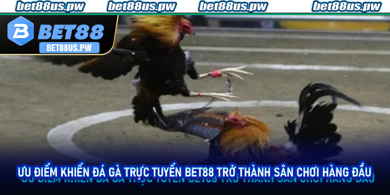 Đá Gà Trực Tuyến Bet88 | Khám Phá Sân Chơi Đỉnh Cao Hấp Dẫn 3 Ưu điểm khiến Đá Gà Trực Tuyến Bet88 trở thành sân chơi hàng đầu